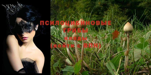 кокаин колумбия Козельск